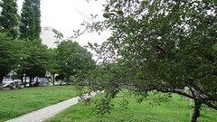 20130628 114.jpg