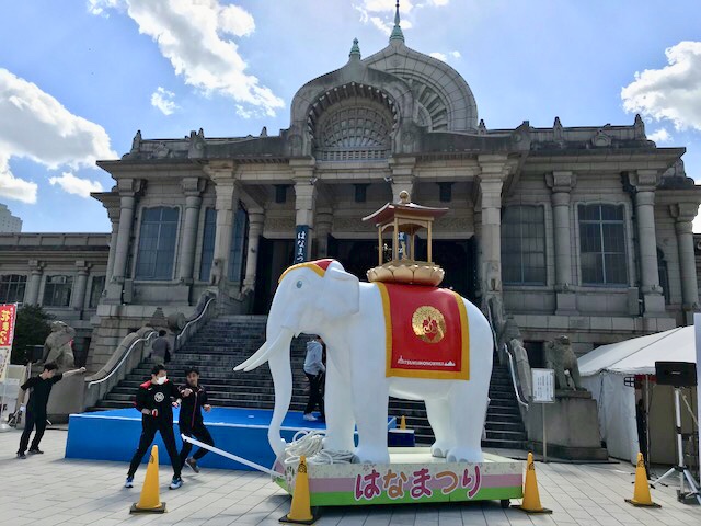  춘난만~꽃 축제 2019