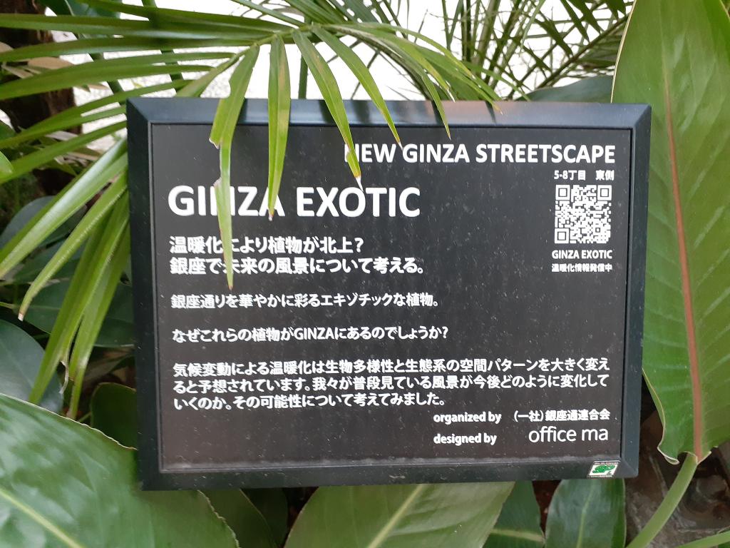  NEW GINZA STREETSCAPE~긴자의 거리에서 생각하는 일본의 전통과 온난화~