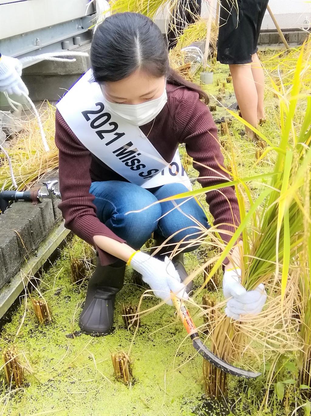  2021 시라쓰루 긴자 천공 농원 이나베리
　　～하쿠쓰루 주조~