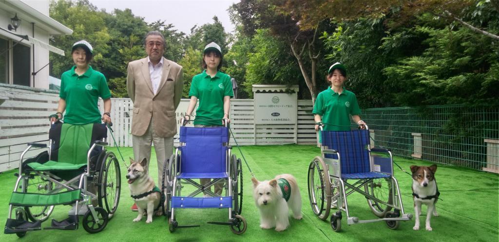 휠체어에 다가가는 트레이닝을 마치고 명견 치로리와 양육의 부모 오키 토오루 씨