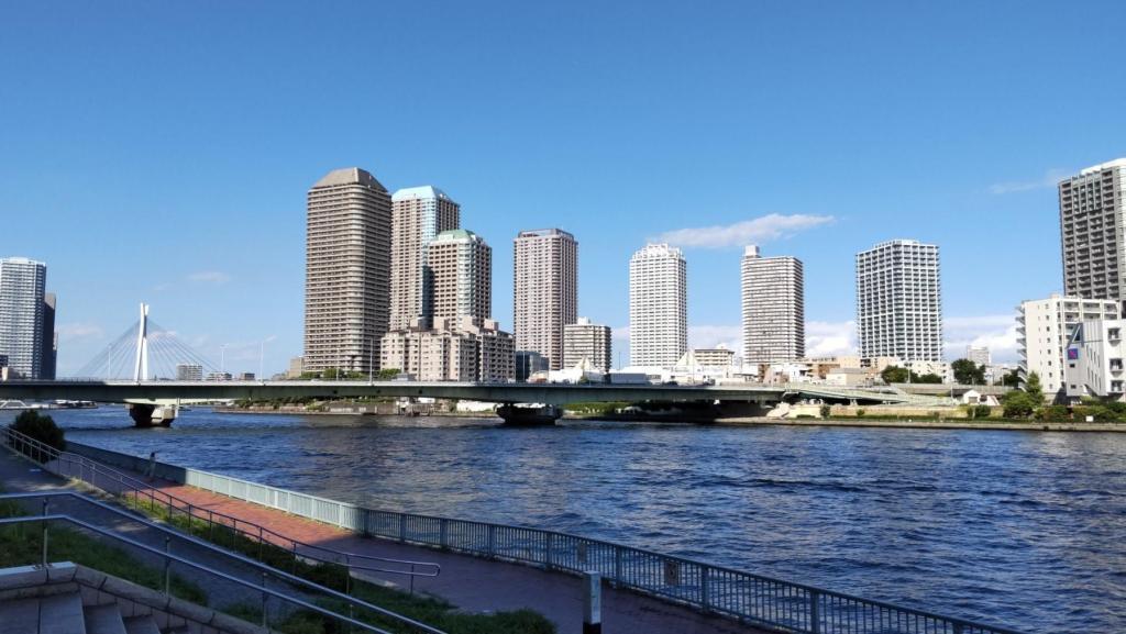  내가 좋아하는 여름의 소경(小景)