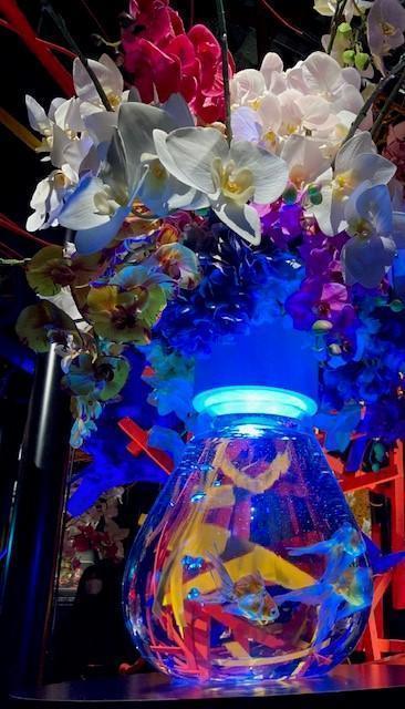  금붕어 춤추는 환상회랑
ART AQUARIUM 미술관 GINZA