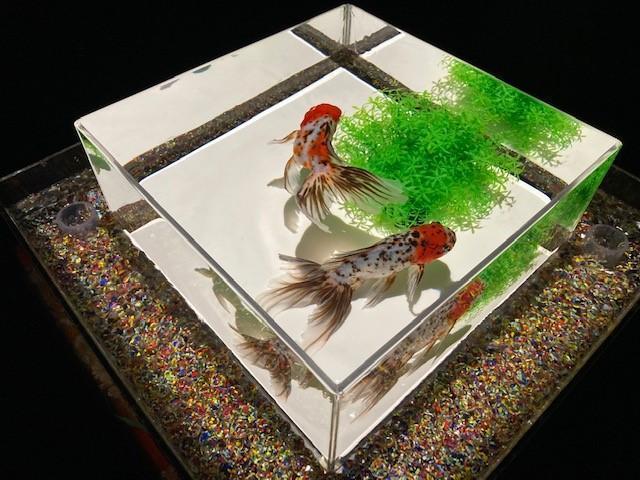  금붕어 춤추는 환상회랑
ART AQUARIUM 미술관 GINZA