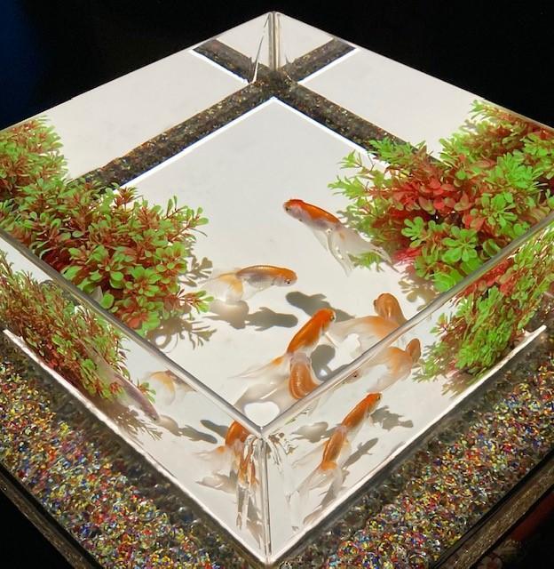  금붕어 춤추는 환상회랑
ART AQUARIUM 미술관 GINZA