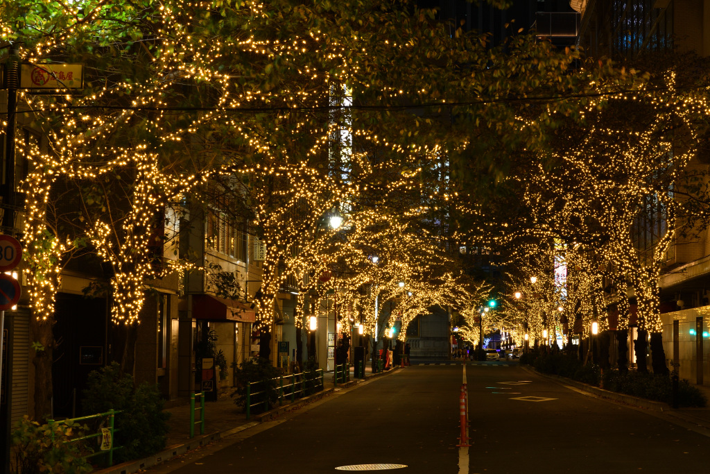 Sakura-dori Avenue Beautiful Night Views in Chuo Ward