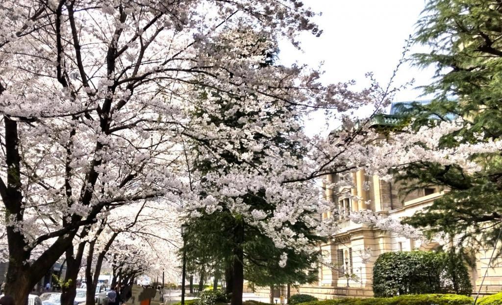  「관광 환대 스탭」 기억쓰기