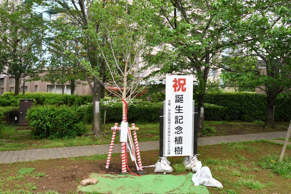  Trees for children who live in Chuo Ward