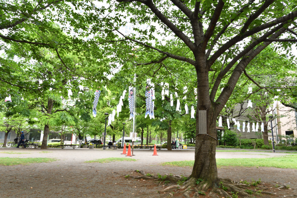  Trees for children who live in Chuo Ward