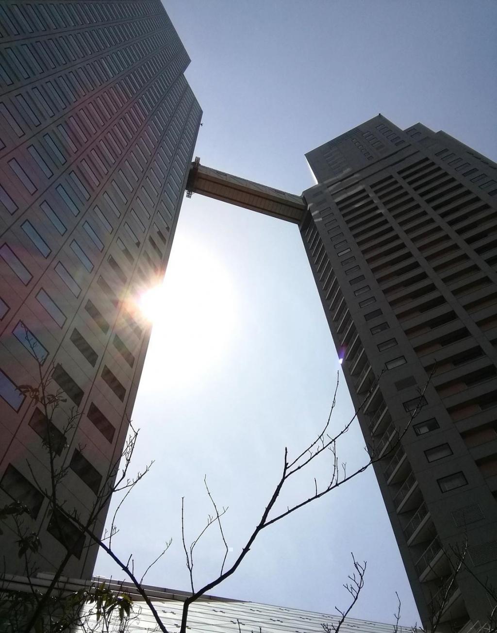  Looking up at high-rise building
　고층 빌딩을 올려다보는 1
　　세인트 루크스 타워·성로가 레지던스~