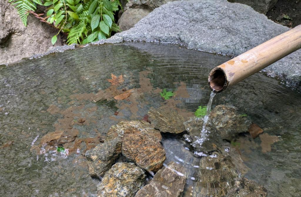  센경에 피는 꽃